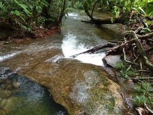 Voyage sur mesure : Les trésors de la Guyane - GUYANE