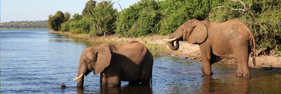Voyage sur mesure : Parc National de Kruger - AFRIQUE DU SUD