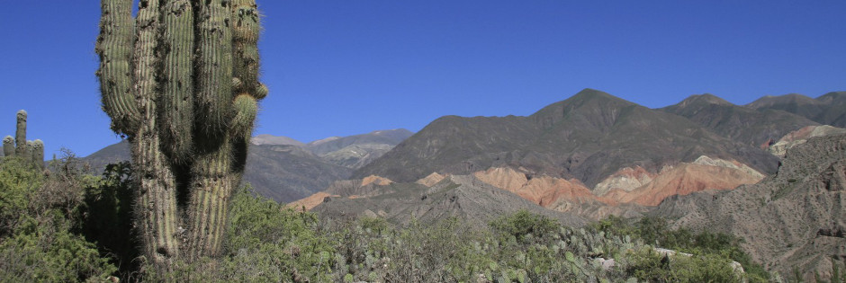 Voyage sur mesure : Les déserts du grand nord-ouest - ARGENTINE