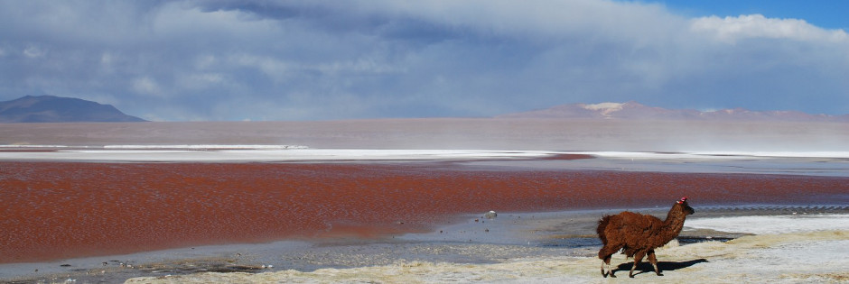 Voyage sur mesure : Trésors de l'Altiplano bolivien et chilien - BOLIVIE