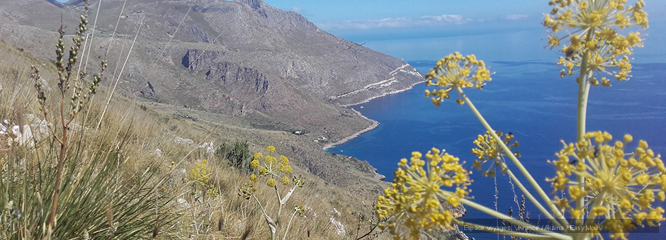 ESCAPADE AU PAYS DES ÉLYMES