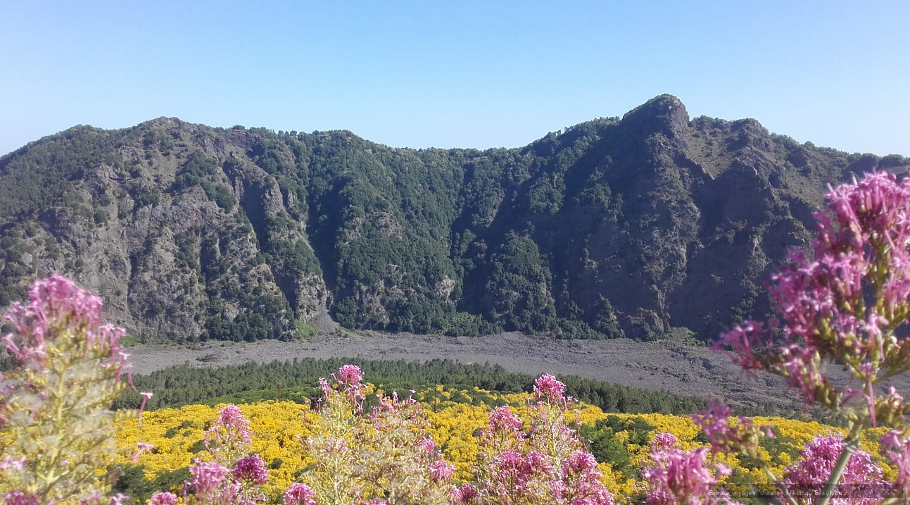 Voyage sur mesure : NAPLES ET LA COTE AMALFITAINE - ITALIE