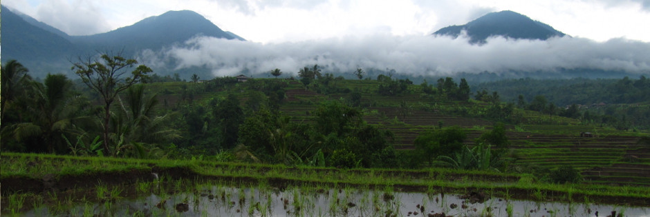 Voyage sur mesure : Sulawesi, le pays toraja - INDONESIE