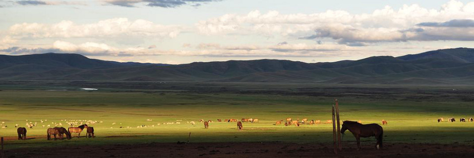 Voyage sur mesure : Rencontres en terre mongole! - MONGOLIE