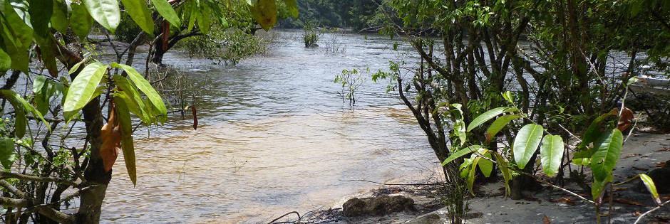 Voyage sur mesure : Voyage au coeur de l'enfert vert - GUYANE