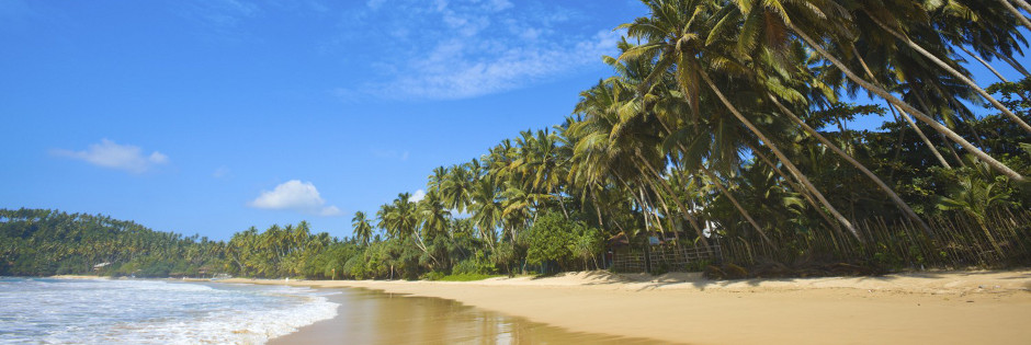Voyage sur mesure : Parcs et plages de Sri Lanka - SRI LANKA